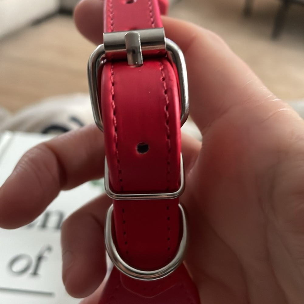 Red Collar - Picture 2 of 5